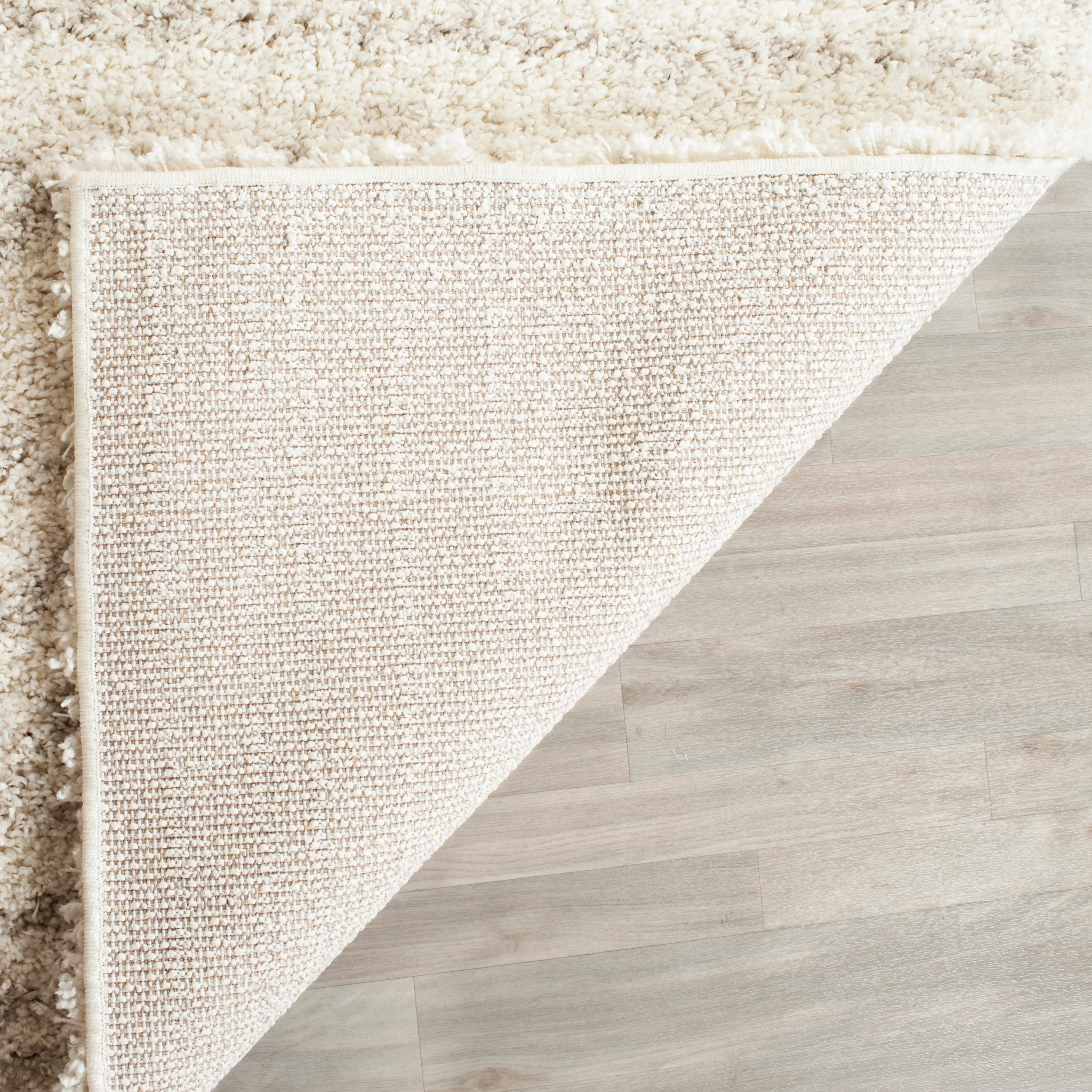 ASG741A-2 Arizona Shag Ivory and Beige Area Rug-4