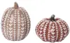 Small Whitewash Pumpkin