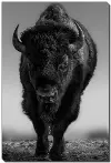 The Beast Wall Art