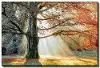 Basking In The Sun Wall Art