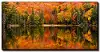 Canisbay Lake Wall Art