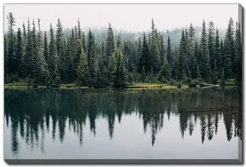 Pine Trees Reflected Wall Art-1
