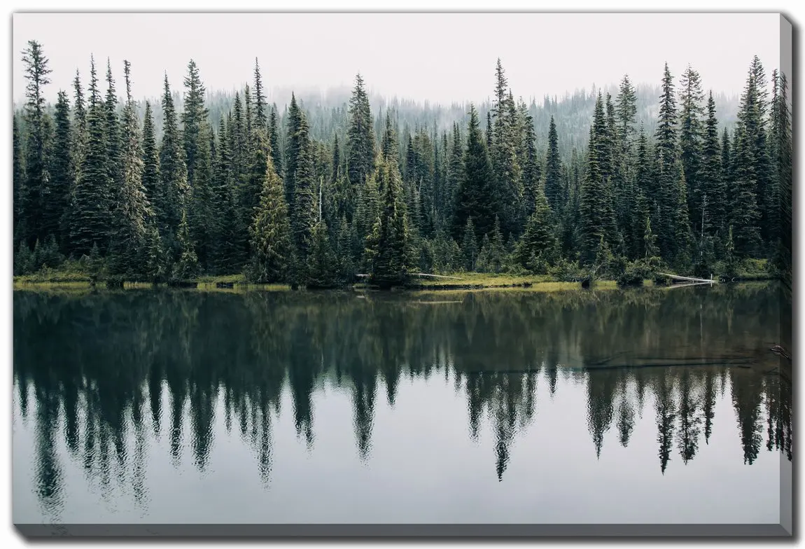 Pine Trees Reflected Wall Art-1