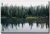 Pine Trees Reflected Wall Art