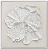 Delicate Petal Wall Art