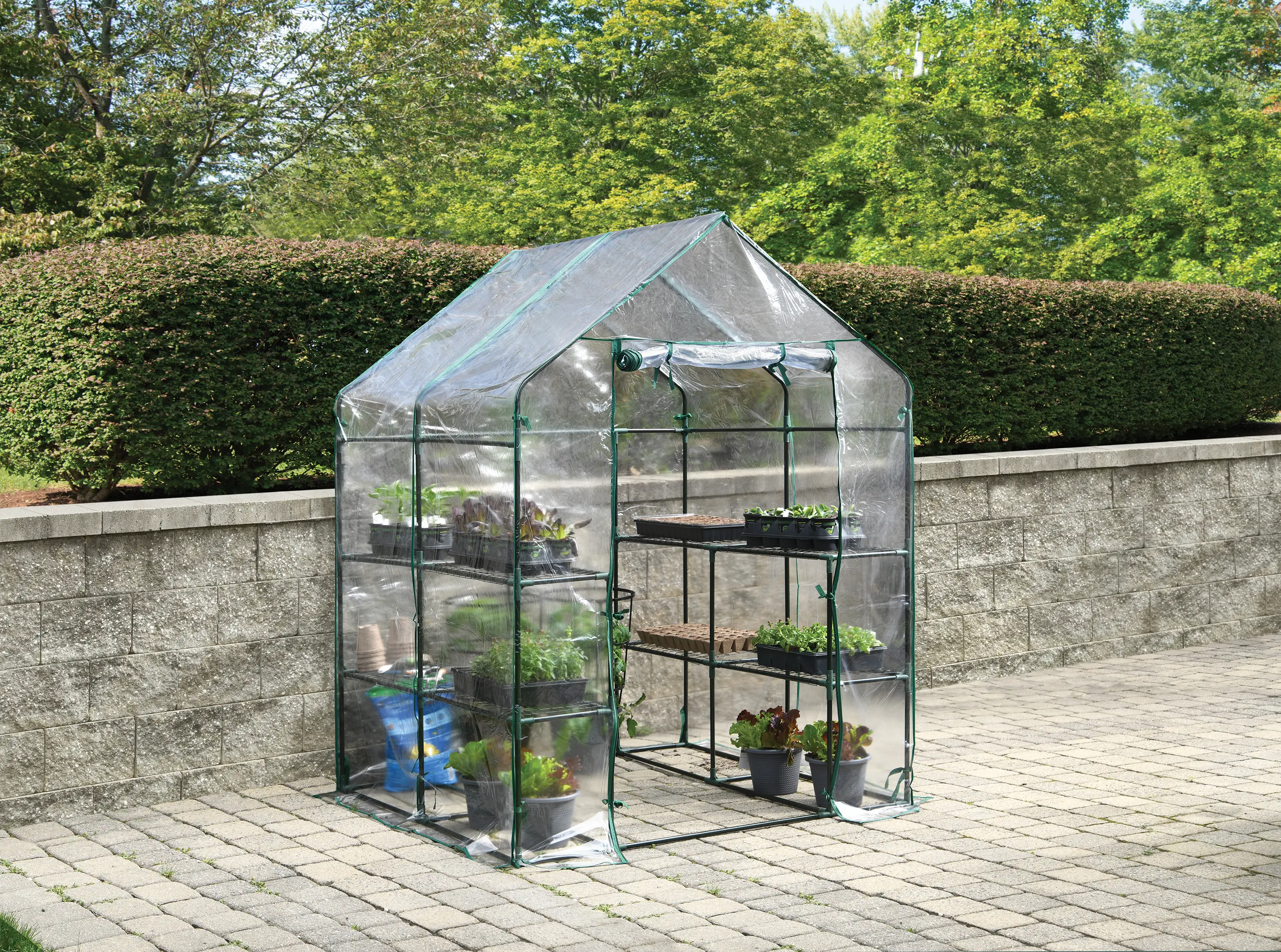 Miracle-Gro Clear Mini Greenhouse-2