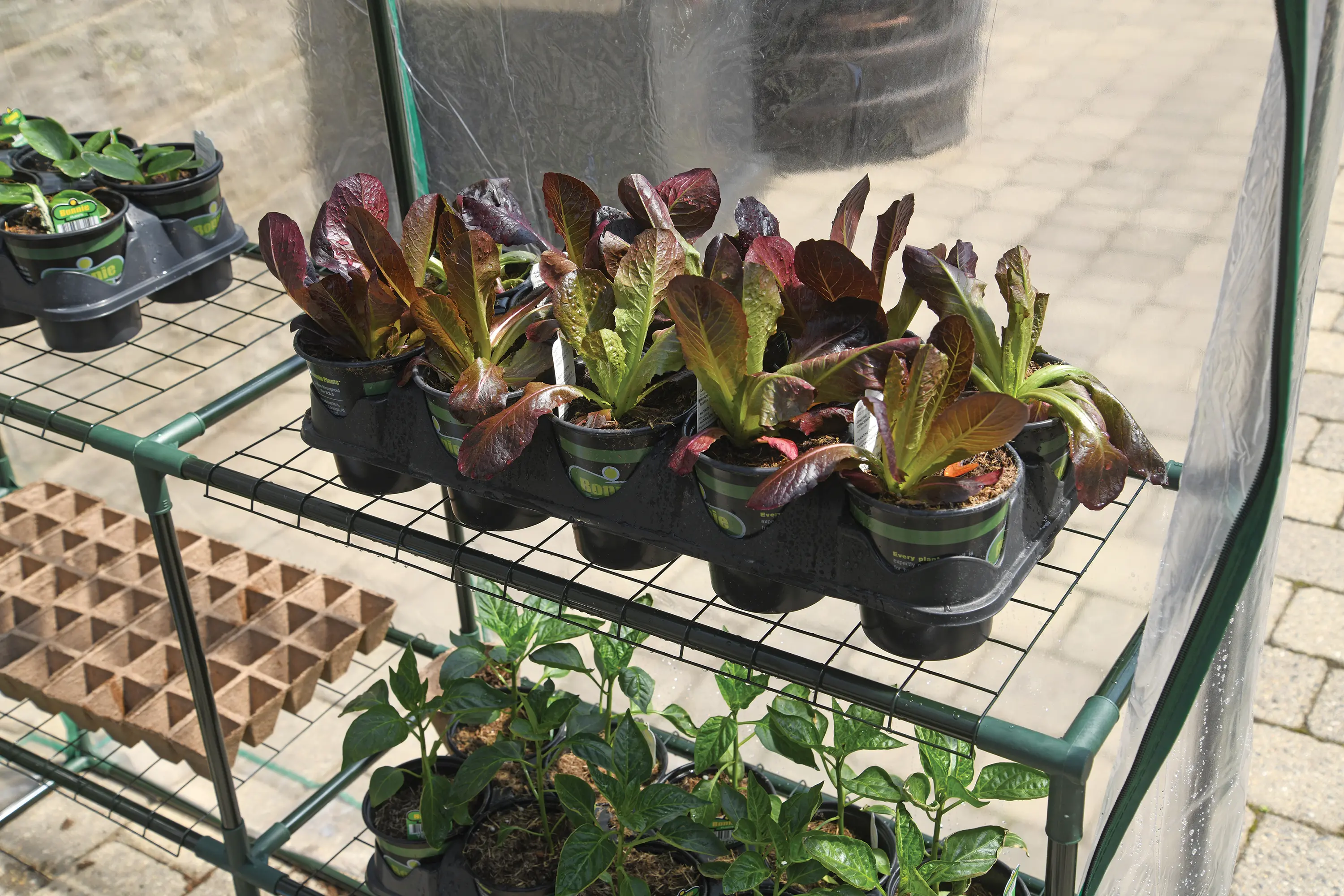 Miracle-Gro Clear Mini Greenhouse-3