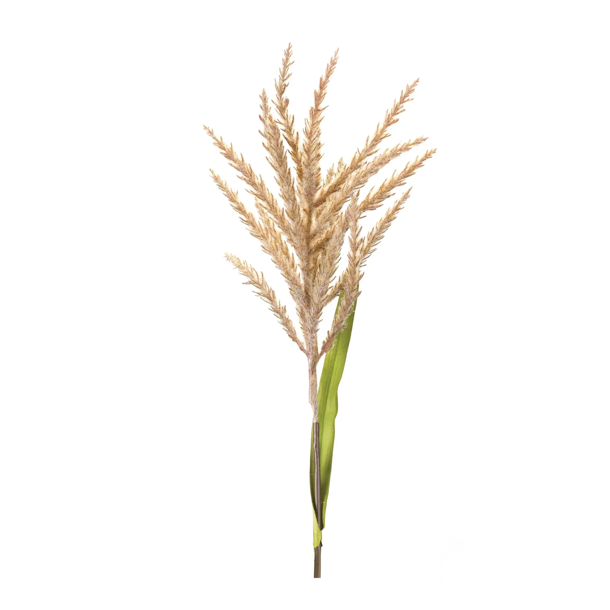 34 Astilbe Plastic Stem-1