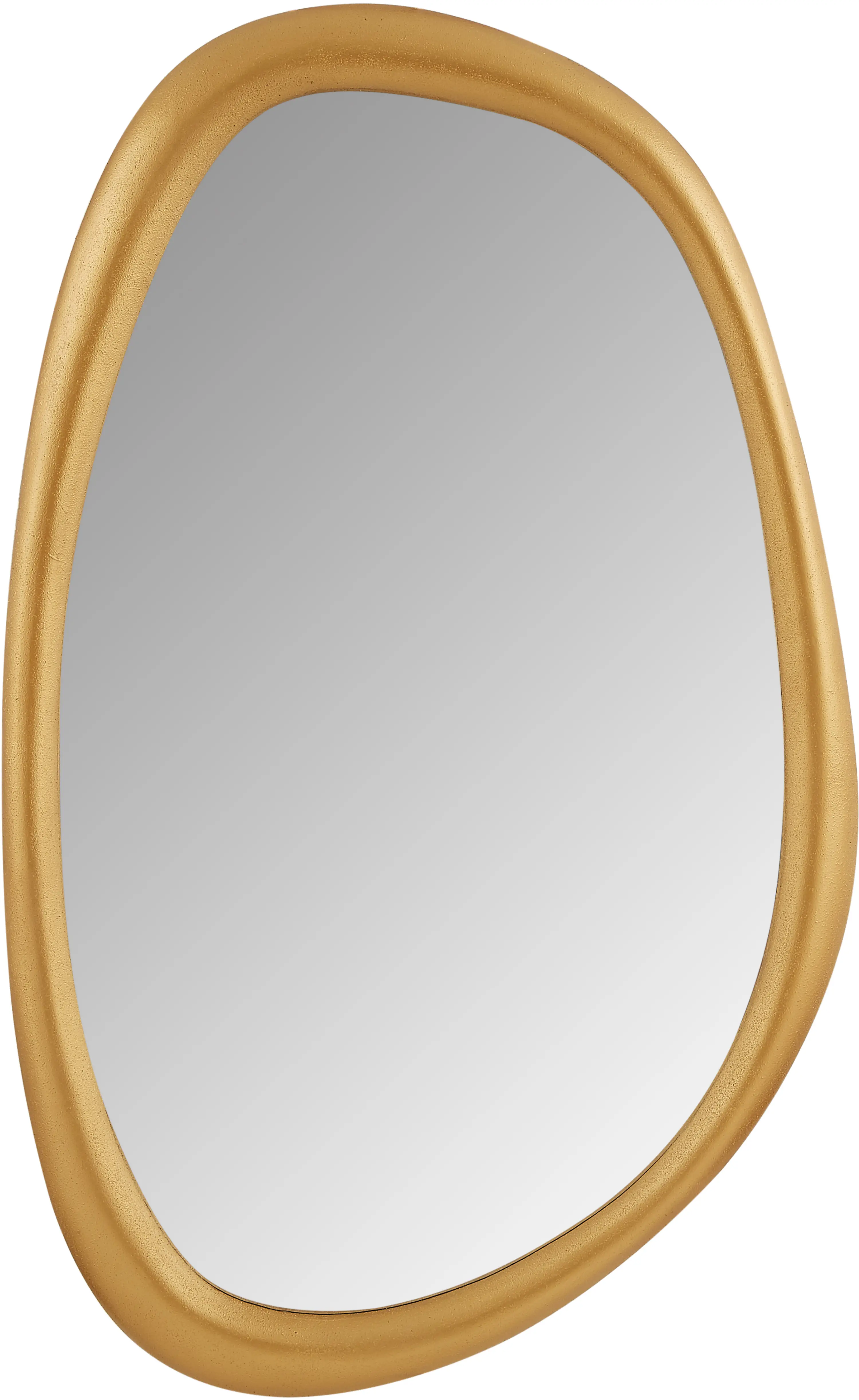 Holland Brass Polyresin Frame Mirror-4