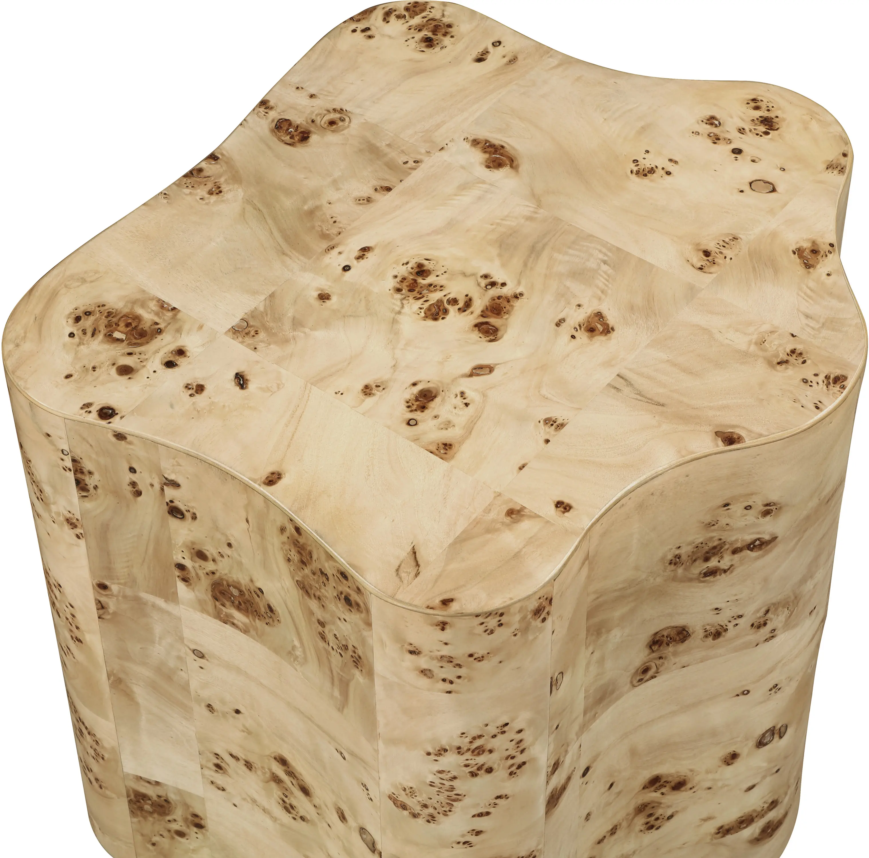 Zaire Burl Side Table-6