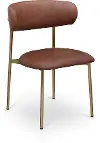 Lupita Brown and Gold Dining Chair, Set of 2