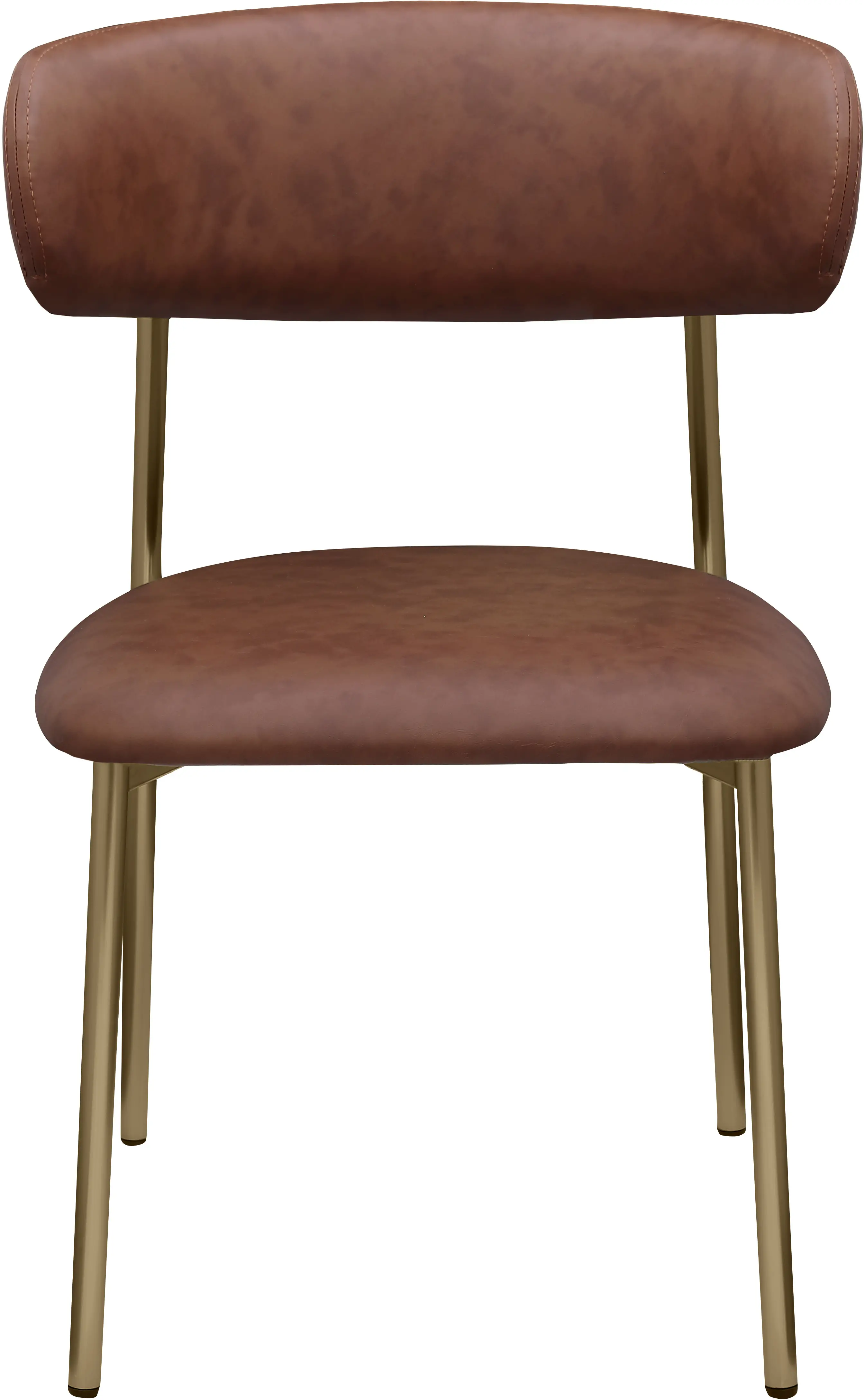 Lupita Brown and Gold Dining Chair, Set of 2-4