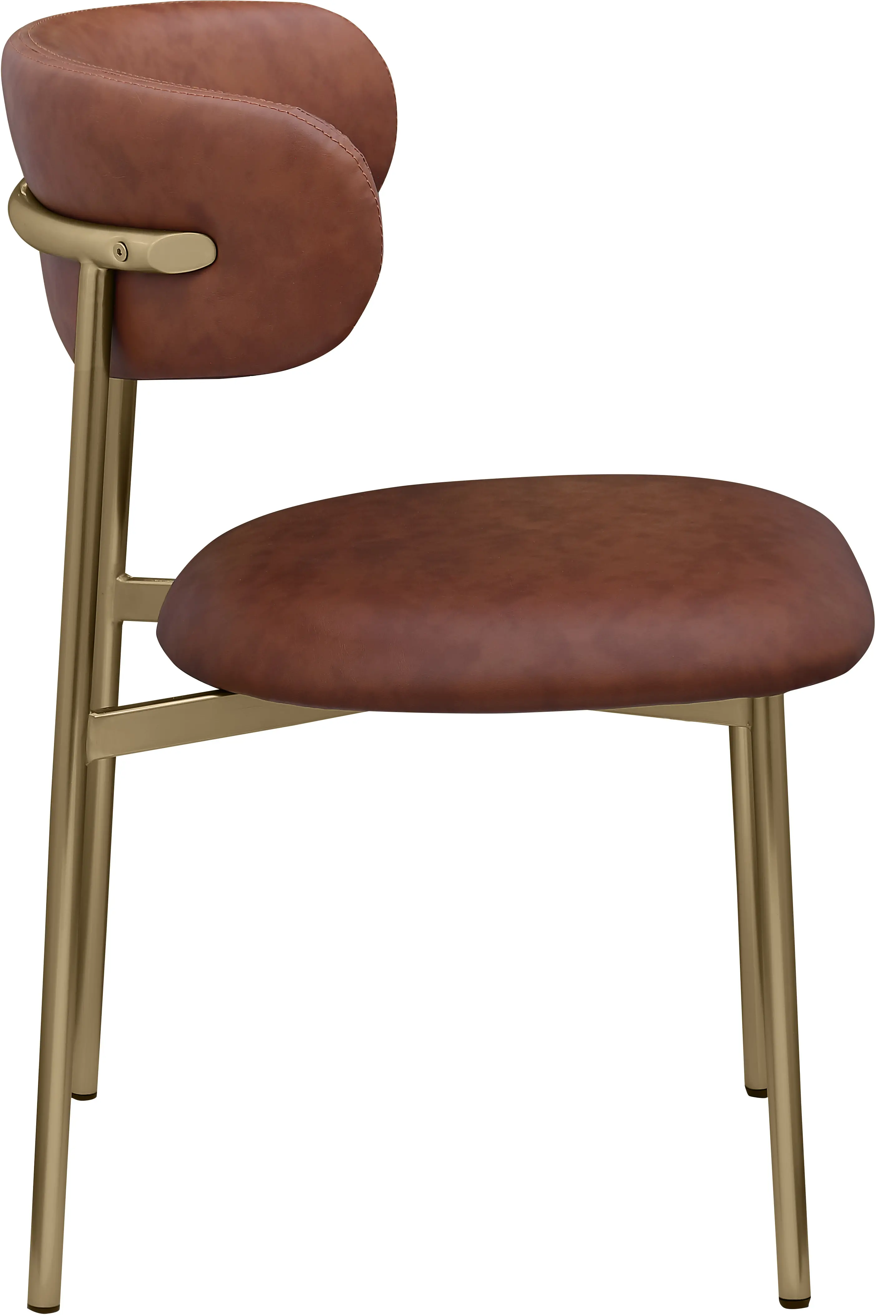 Lupita Brown and Gold Dining Chair, Set of 2-5