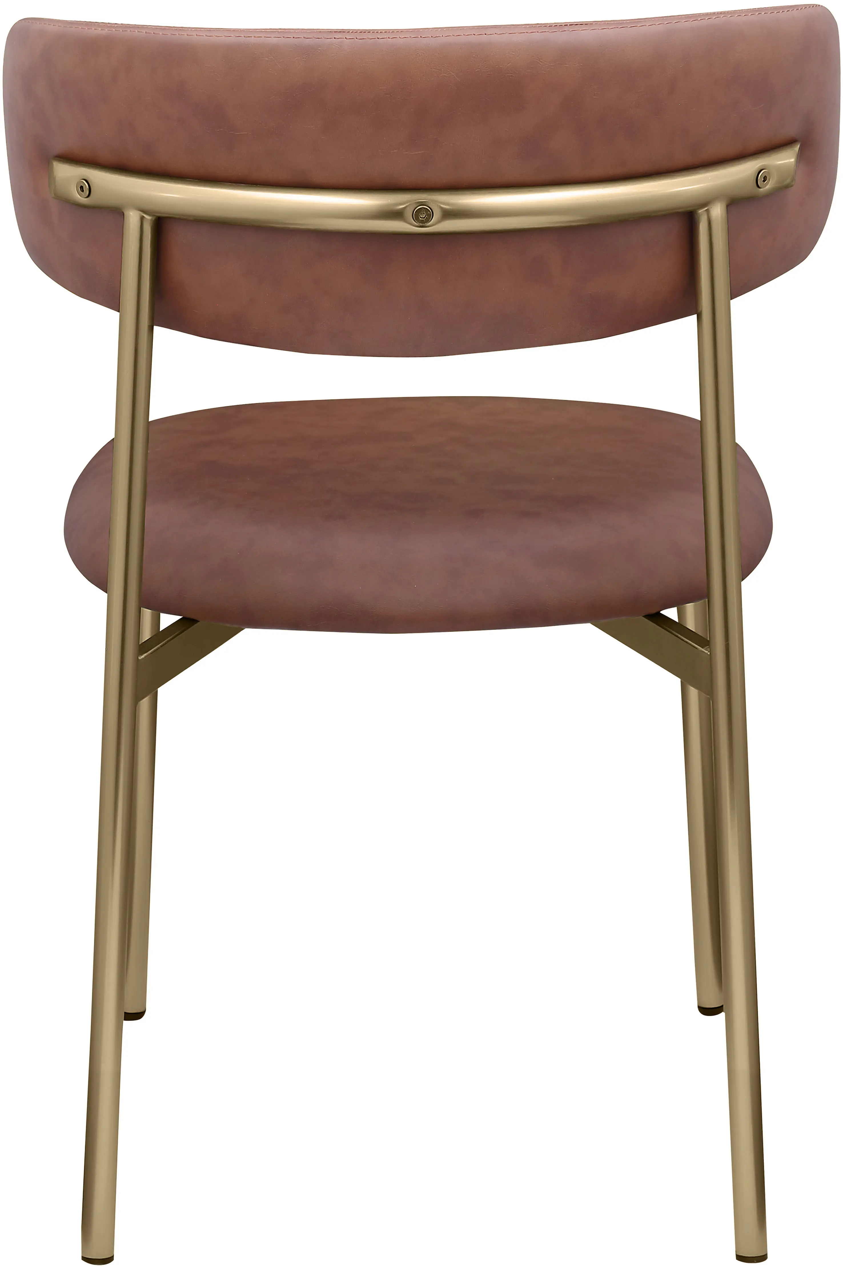 Lupita Brown and Gold Dining Chair, Set of 2-6