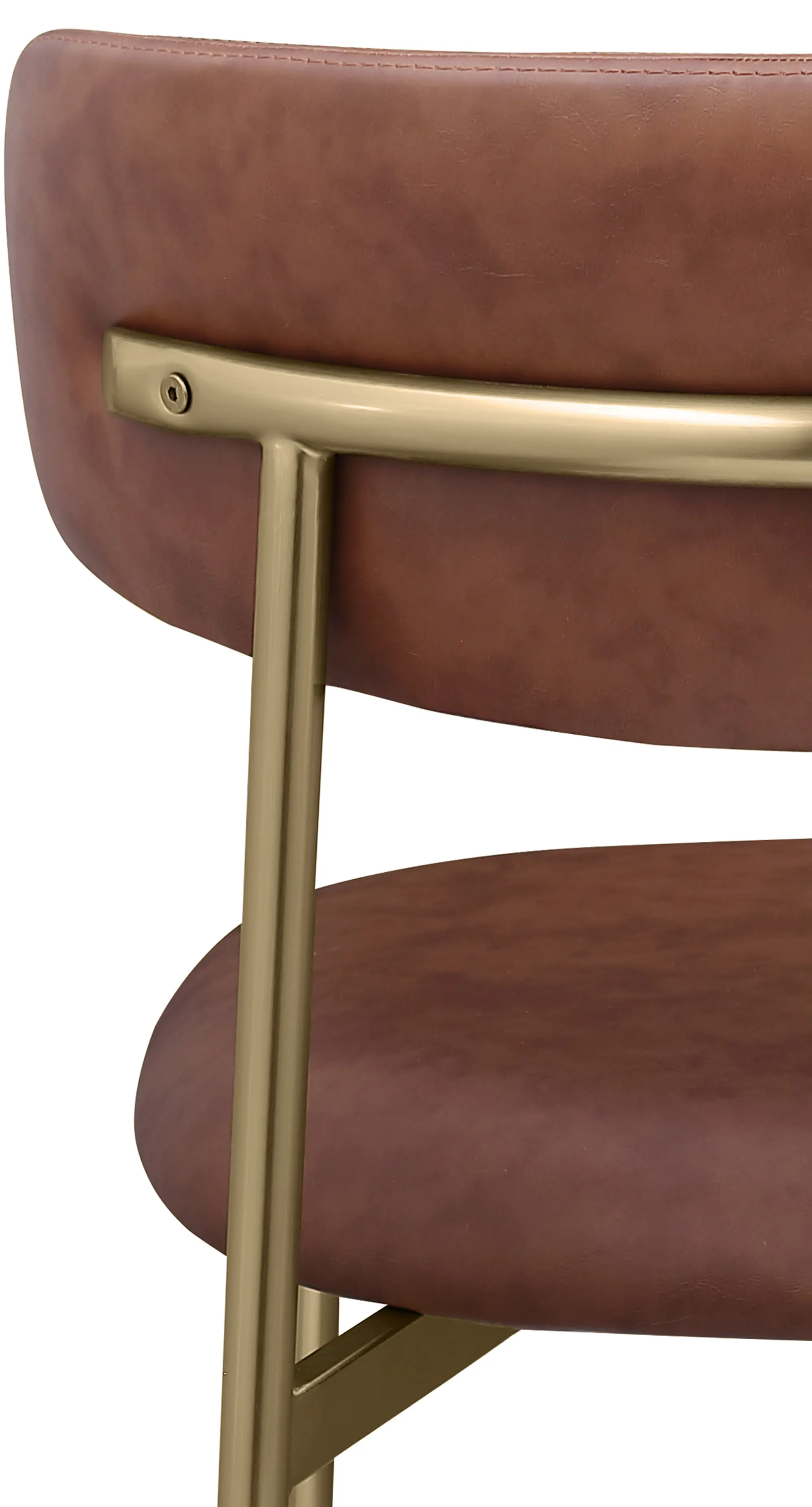Lupita Brown and Gold Dining Chair, Set of 2-7