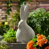 11.5 Gray Long Eared Rabbit