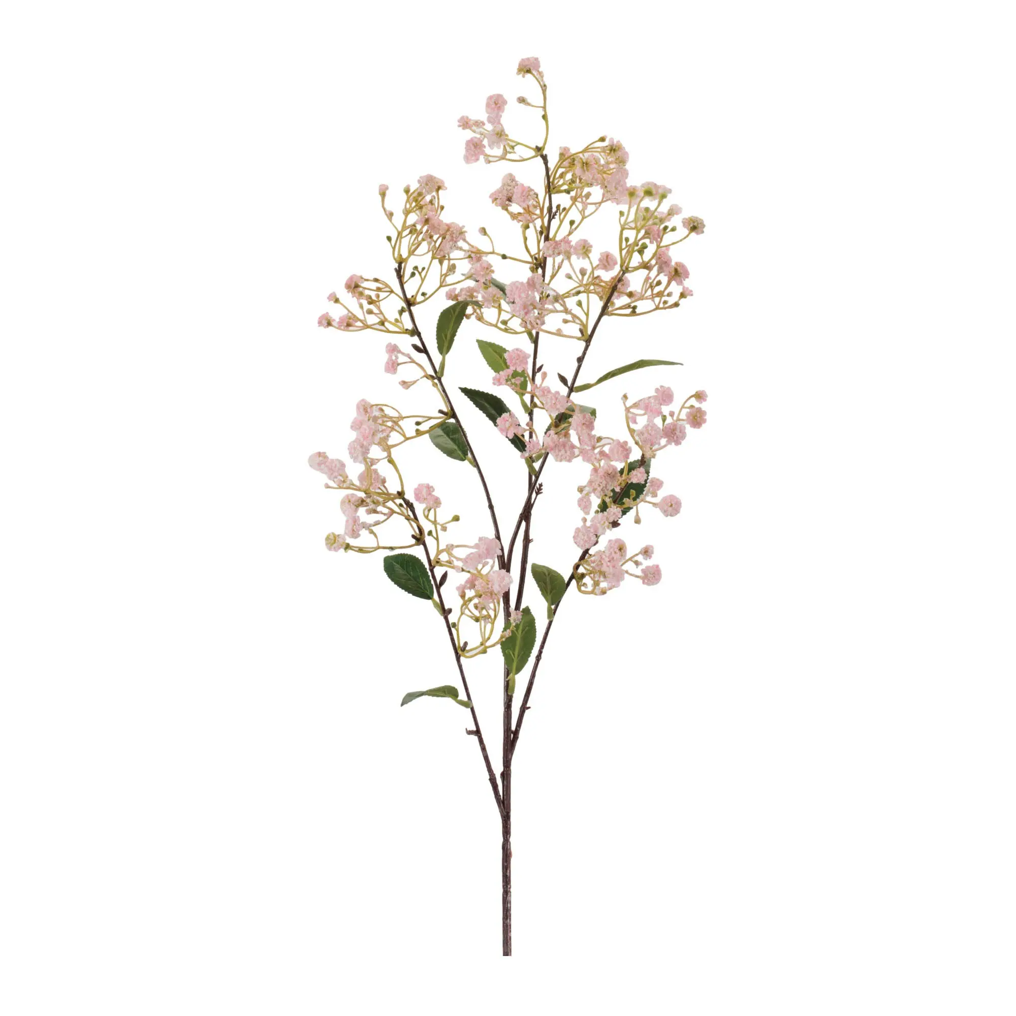 34 Baby's Breath-1