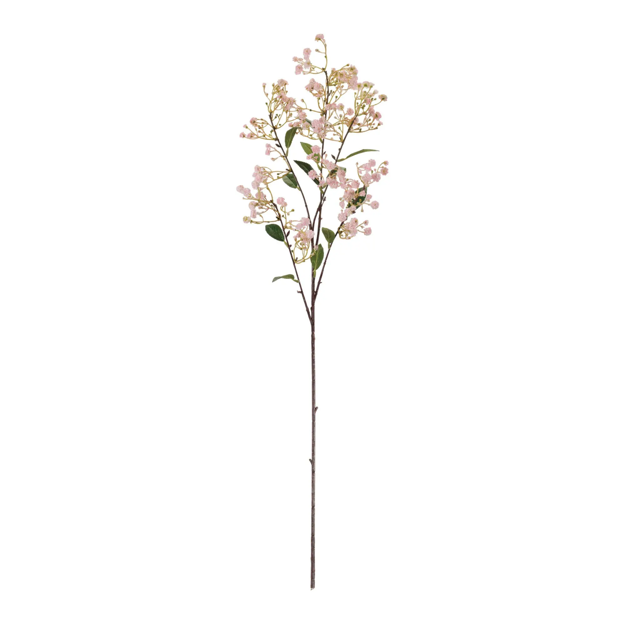34 Baby's Breath-2