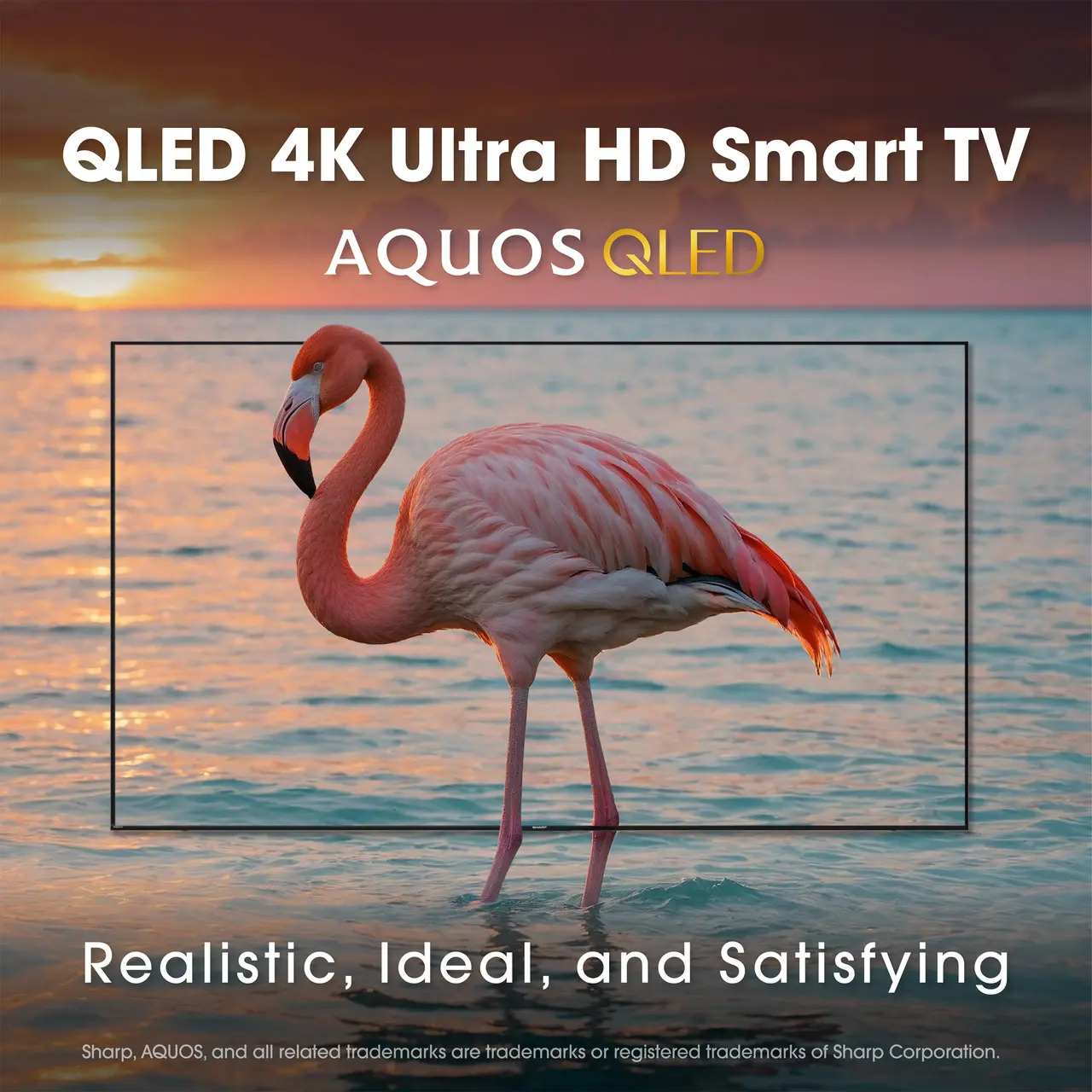 4T-C55HP7050U Sharp 55 Class AQUOS QLED 4K Ultra HD Smart Xumo TV-15