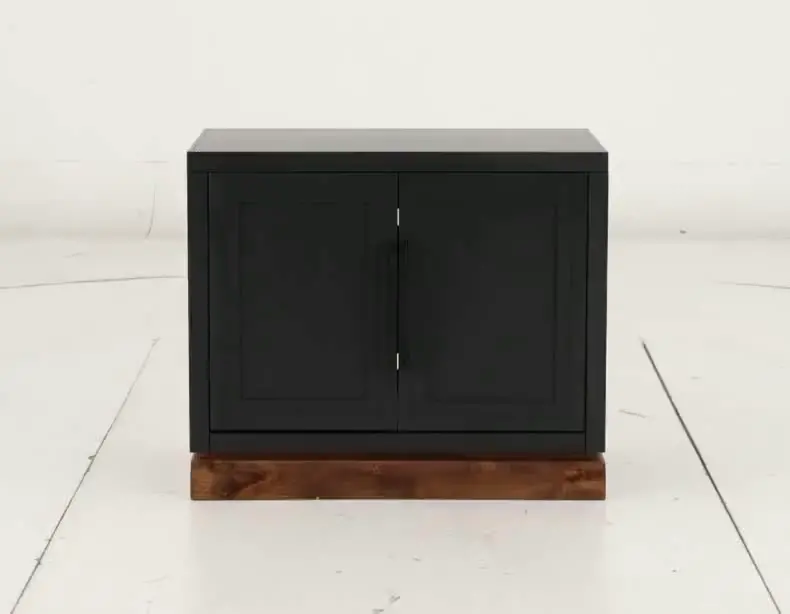 Nora Black Two Door Cabinet-9