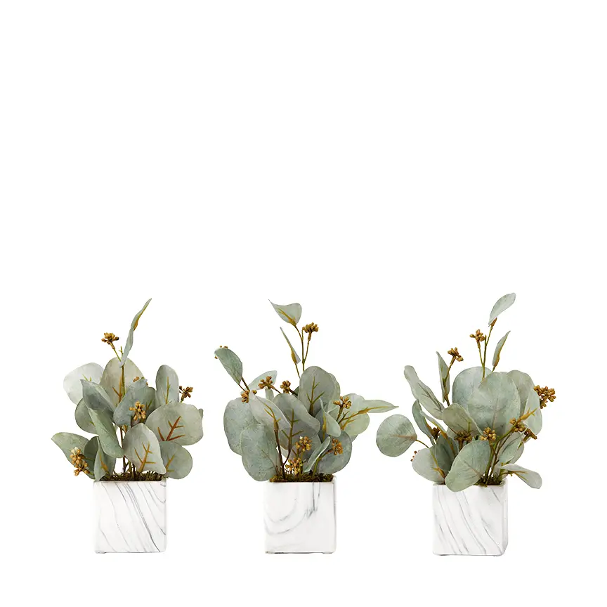 Seeded Eucalyptus Branches Set of 3-1