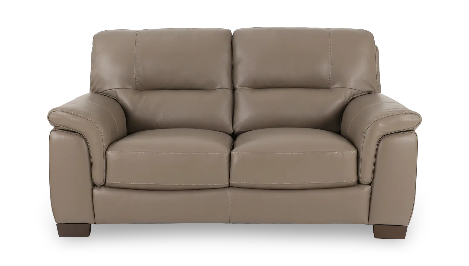 Wadsworth Granite Beige Leather Loveseat-1