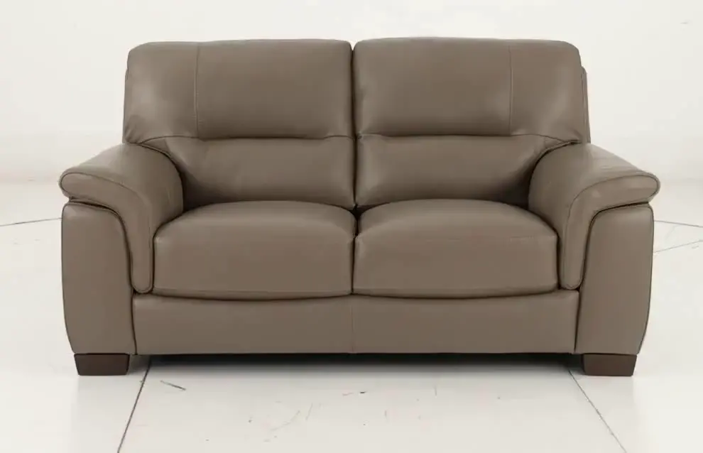 Wadsworth Granite Beige Leather Loveseat-9