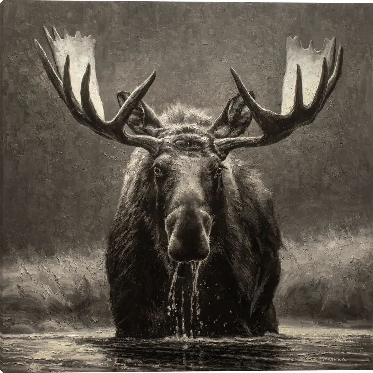 MK3023E Blackwater Bull Canvas Wrap-1