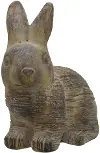 Brown Bunny