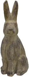 Brown Bunny