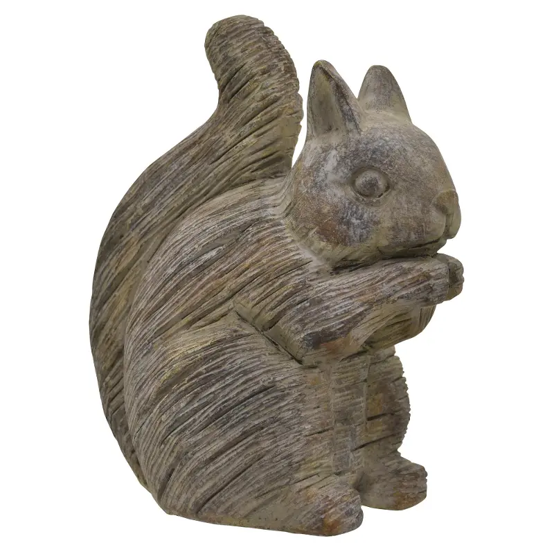 Brown Squirrel