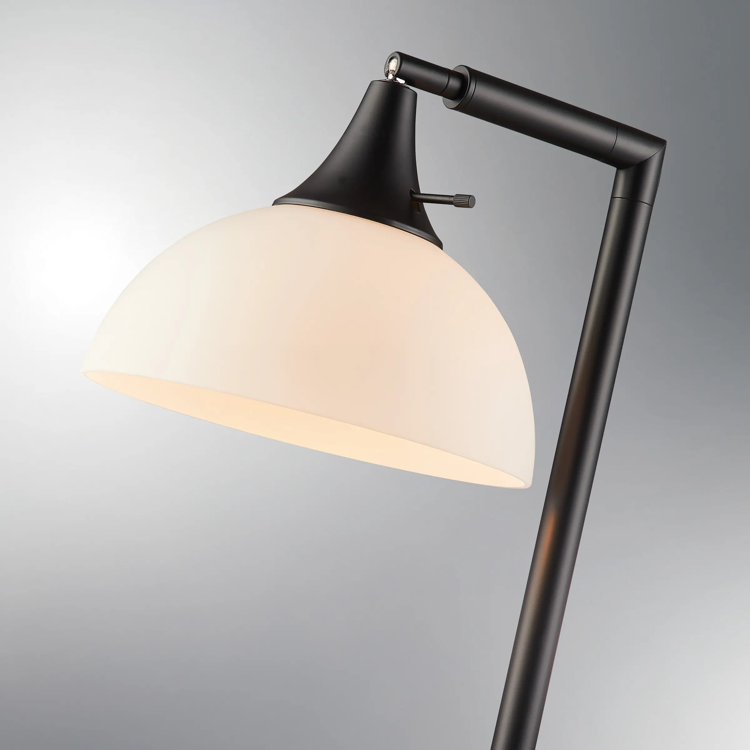 Wren Black Floor Lamp-2