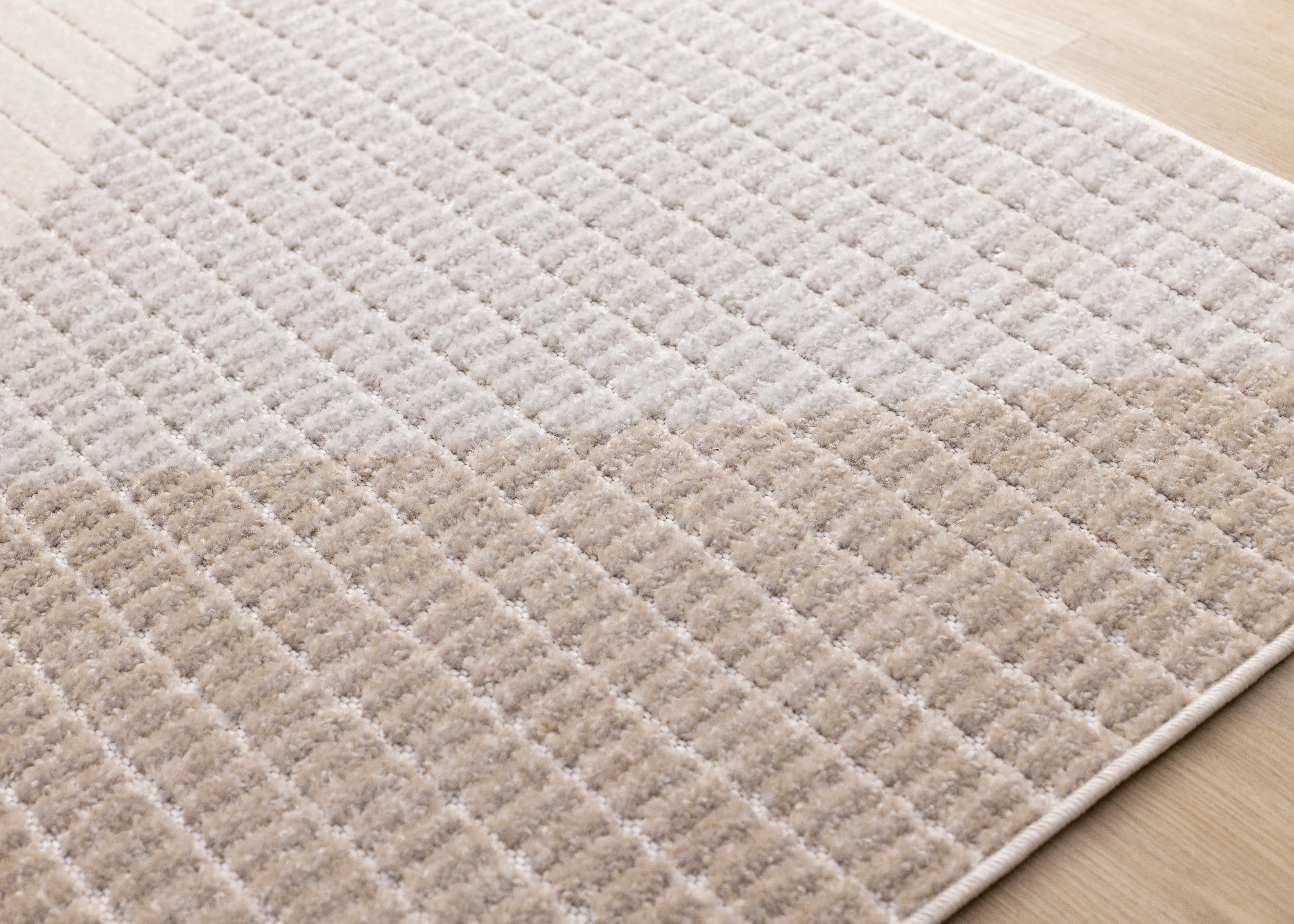 H174-5252 200290 Alta 6 x 9 Beige Area Rug-4