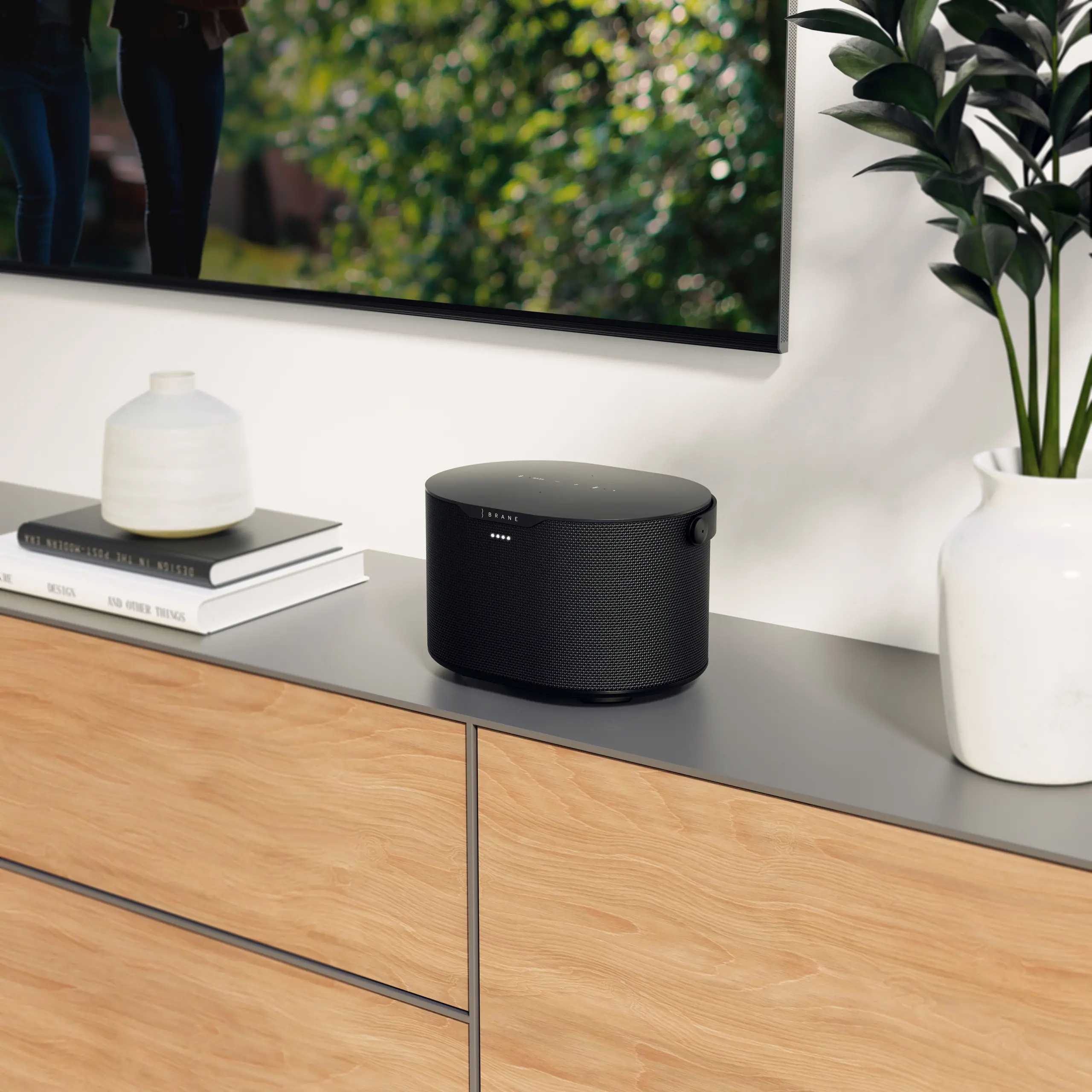 Brane X Portable Smart Speaker-7