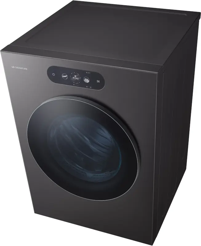 DLEX9900B LG SIGNATURE 9.0 Cu Ft Mega-Capacity Smart AI Electric Dryer - Black Steel-14