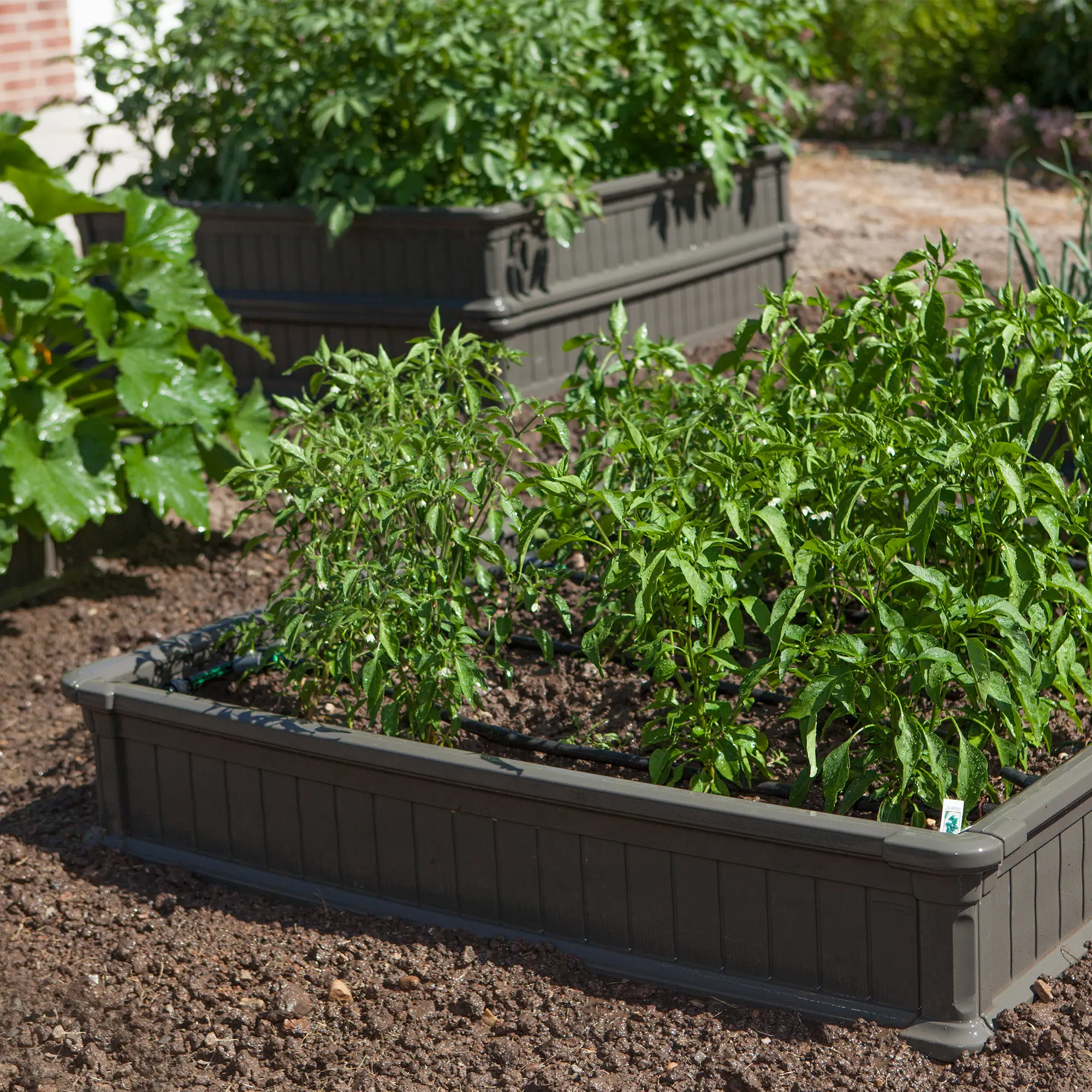 60065 Lifetime 4' x 4' Raised Garden Bed-2