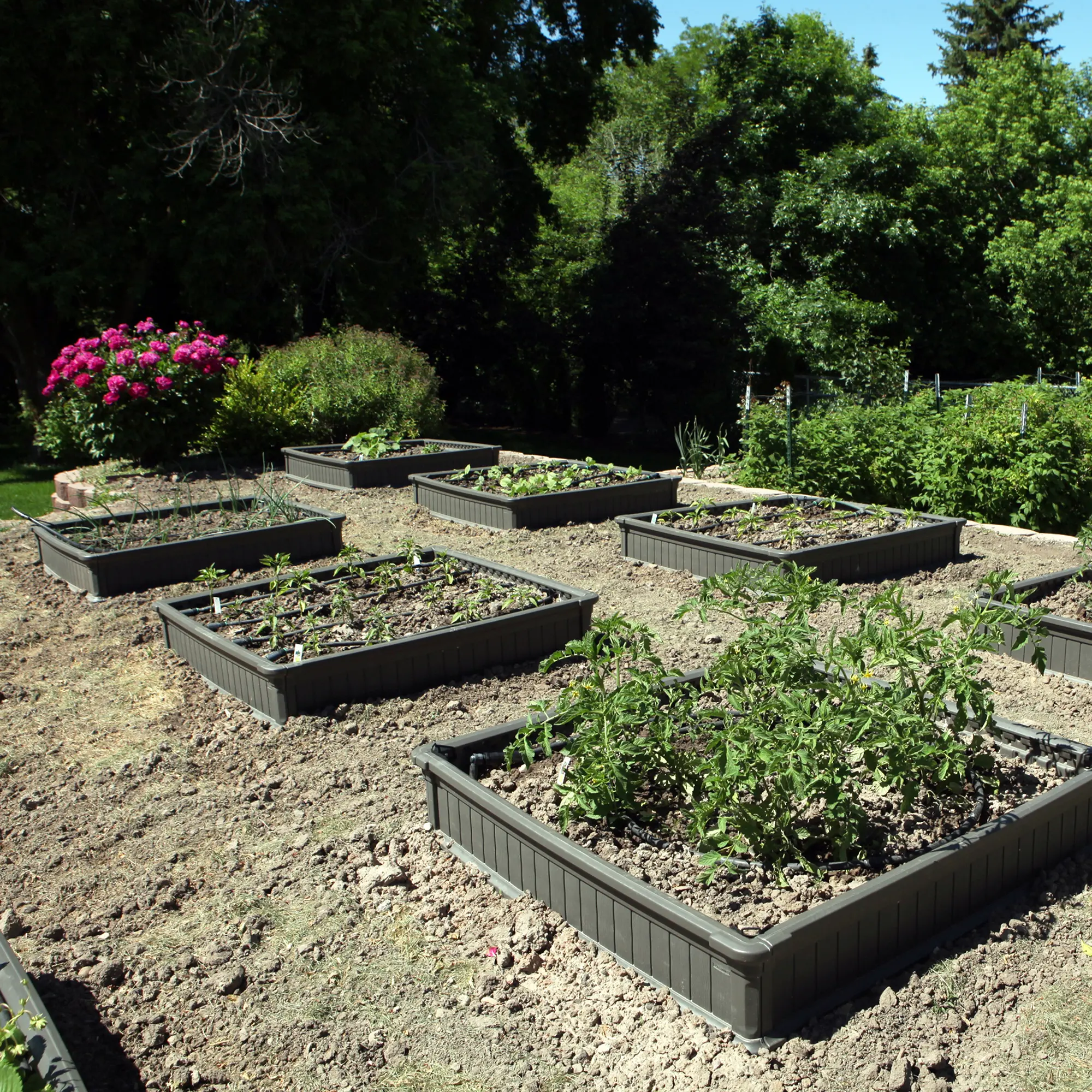 60065 Lifetime 4' x 4' Raised Garden Bed-4