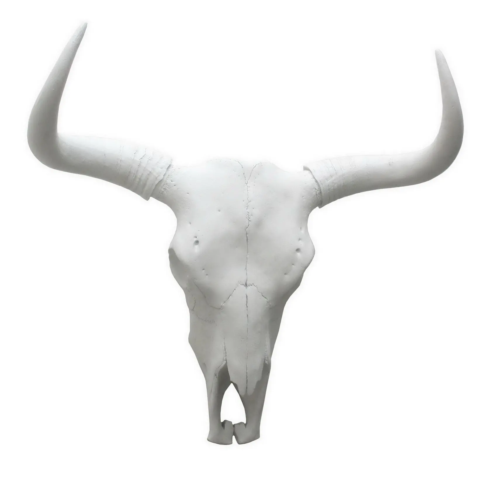 Resin Bison Skull Wall Decor-1