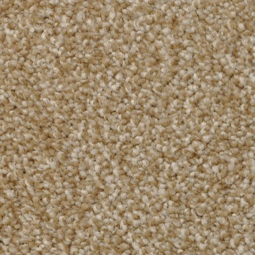 BRE.AMORE Dixie Amore Carpet-10