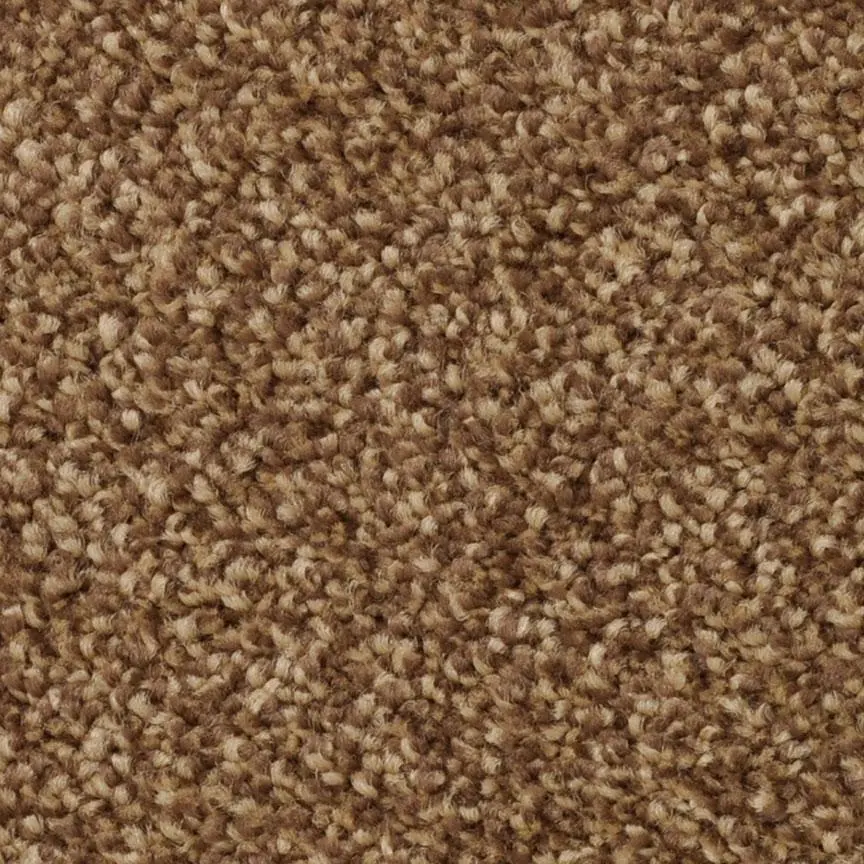 BRE.AMORE Dixie Amore Carpet-11