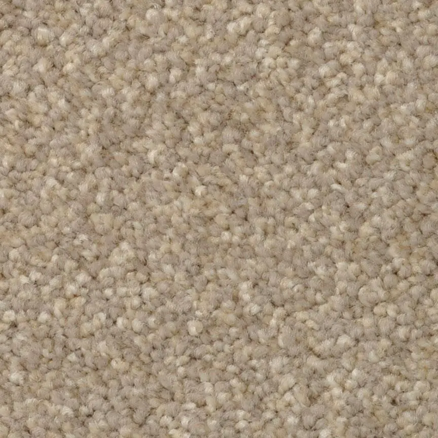 BRE.AMORE Dixie Amore Carpet-12