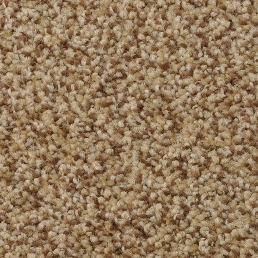 BRE.AMORE Dixie Amore Carpet-14