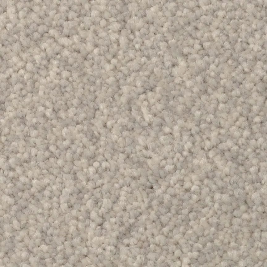 BRE.AMORE Dixie Amore Carpet-15