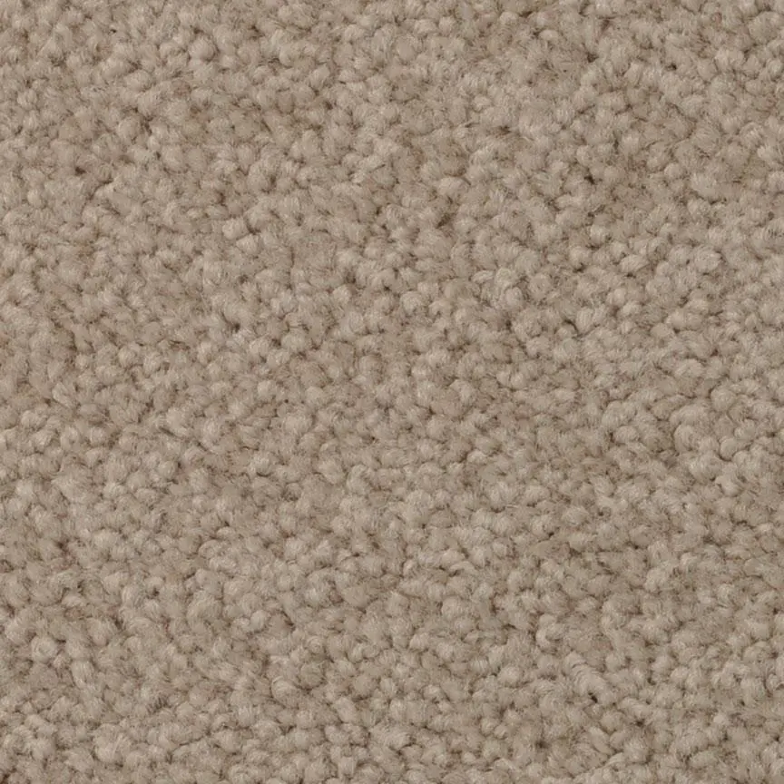 BRE.AMORE Dixie Amore Carpet-2