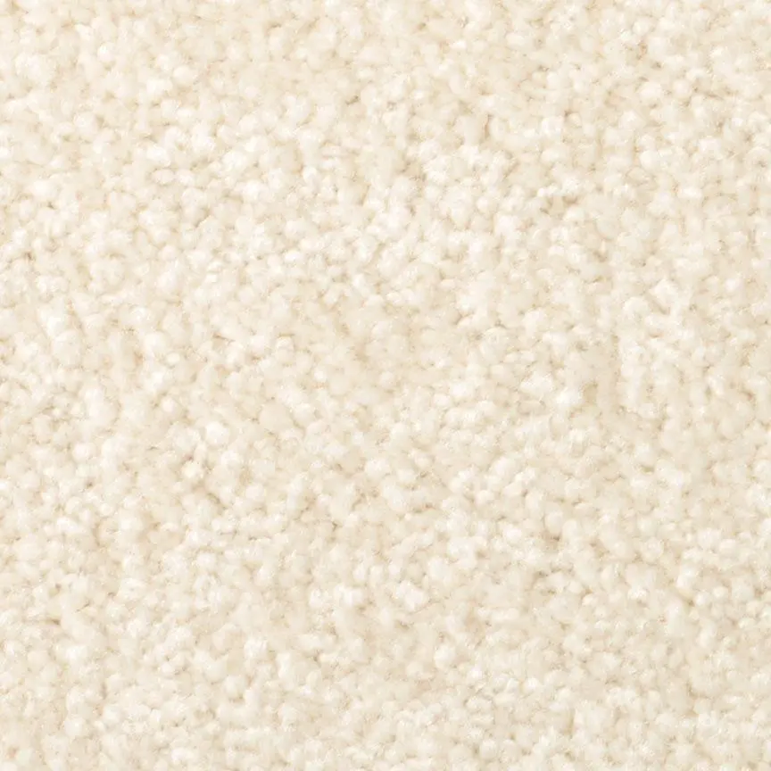 BRE.AMORE Dixie Amore Carpet-3