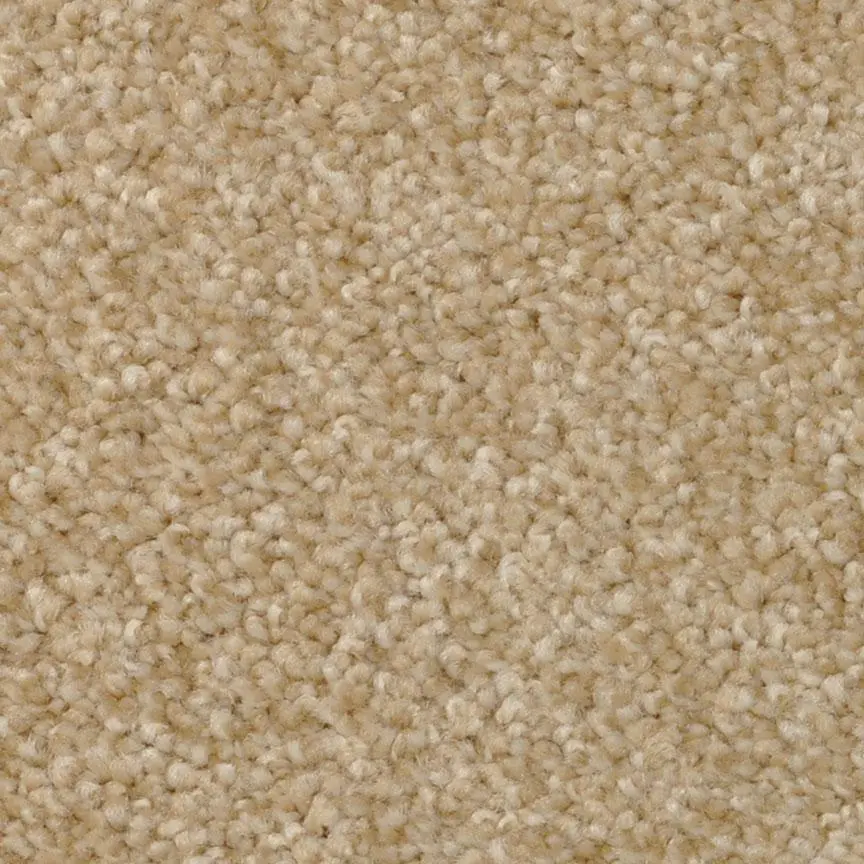 BRE.AMORE Dixie Amore Carpet-4