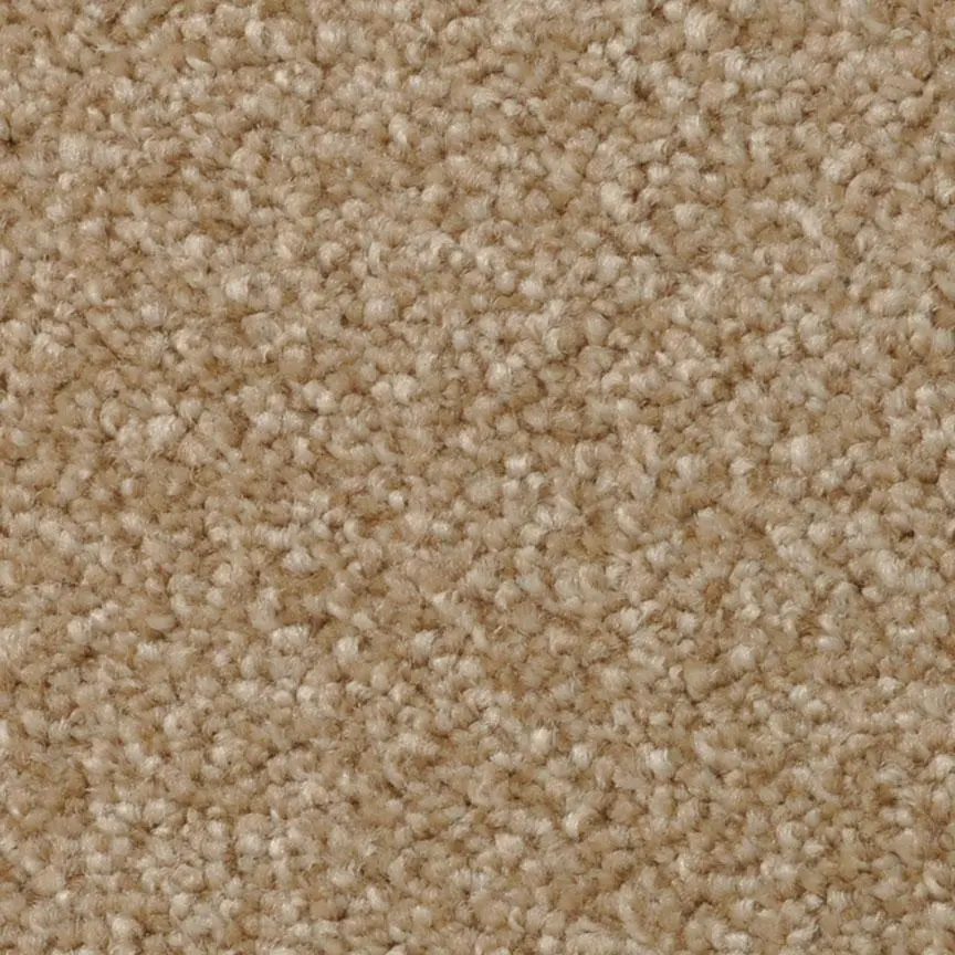 BRE.AMORE Dixie Amore Carpet-5