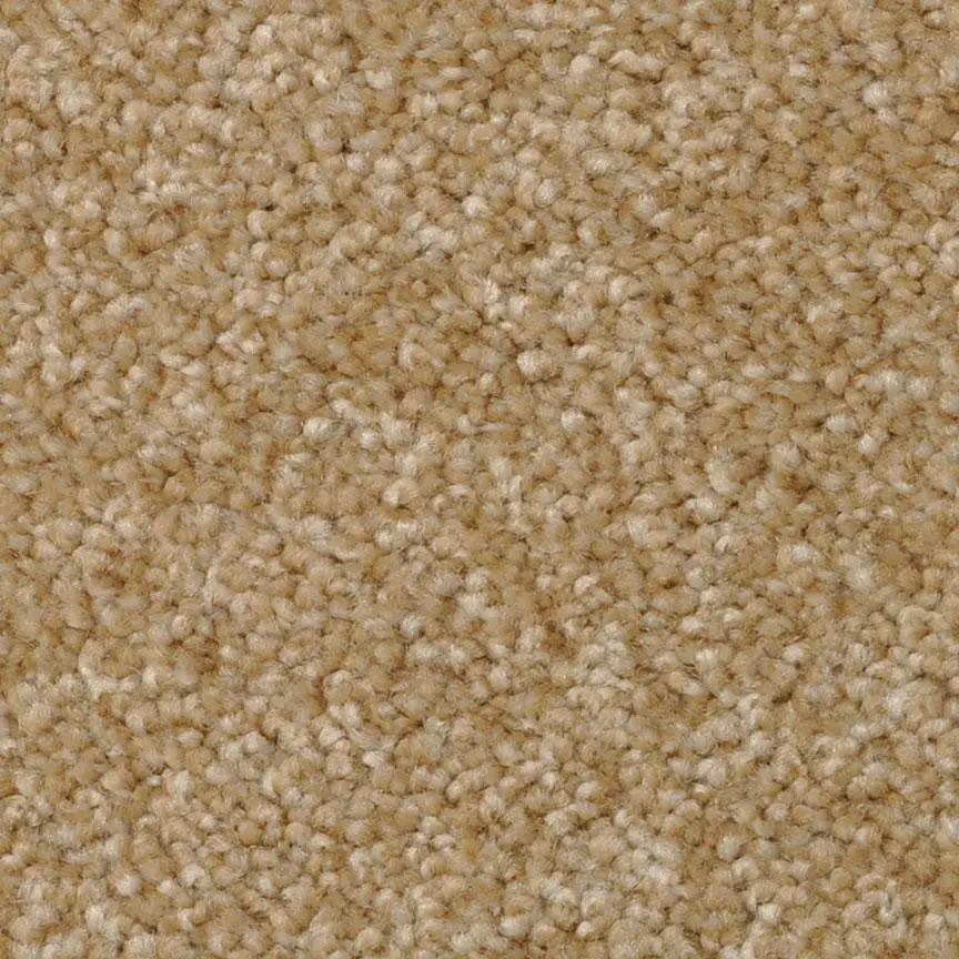 BRE.AMORE Dixie Amore Carpet-6