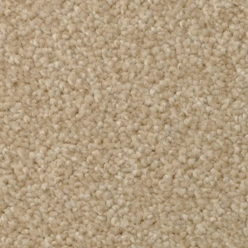 BRE.AMORE Dixie Amore Carpet-7