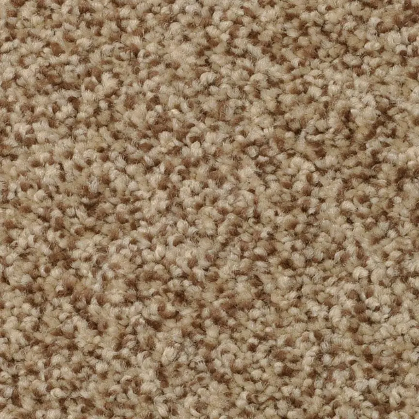 BRE.AMORE Dixie Amore Carpet-8